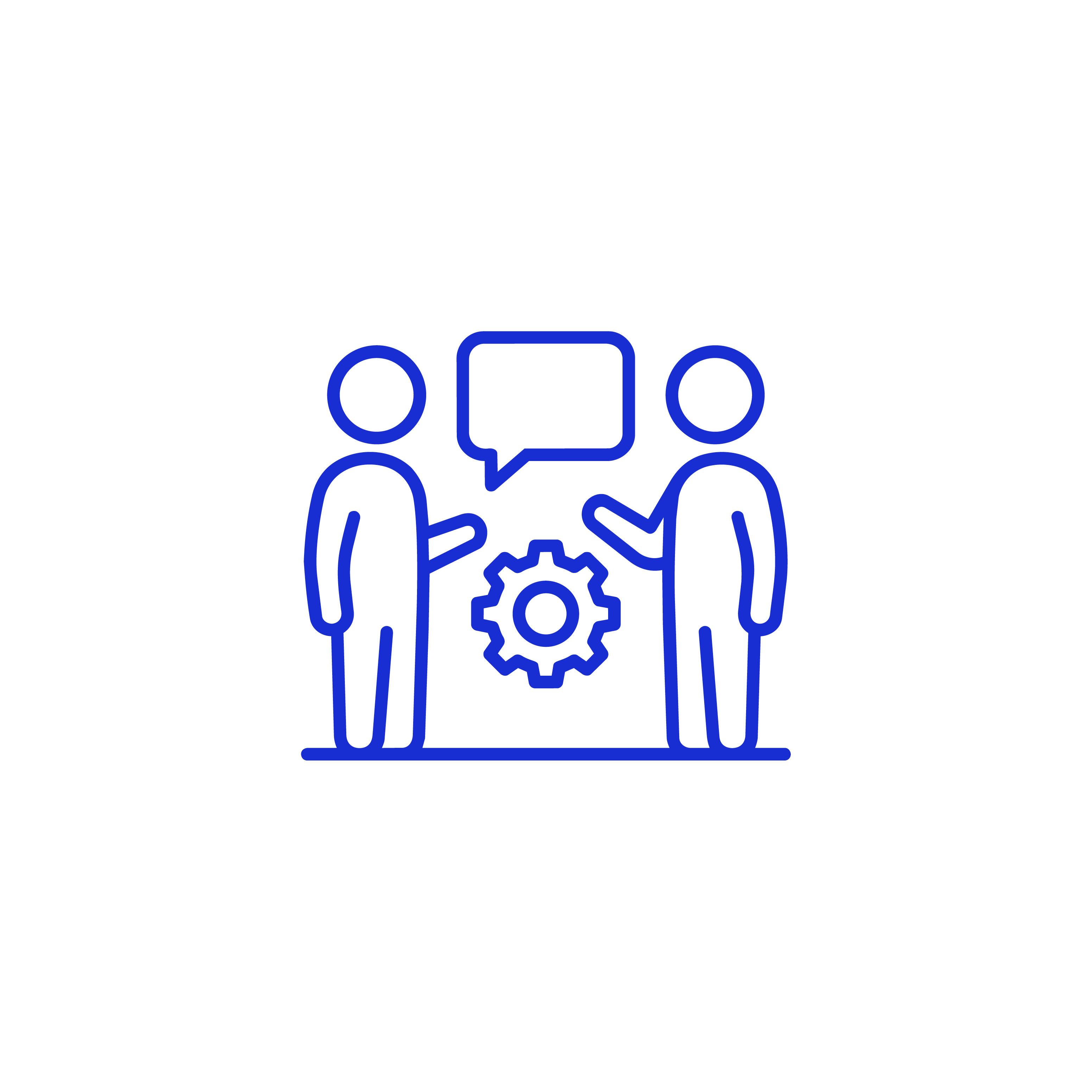 Icon 1